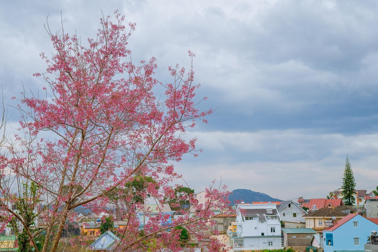 Ruby House Apartment ดาลัด ภายนอก รูปภาพ